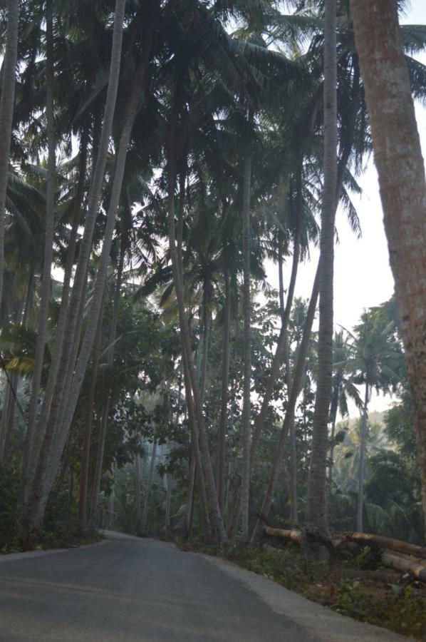 Halonusa Garden Sakti Exterior foto